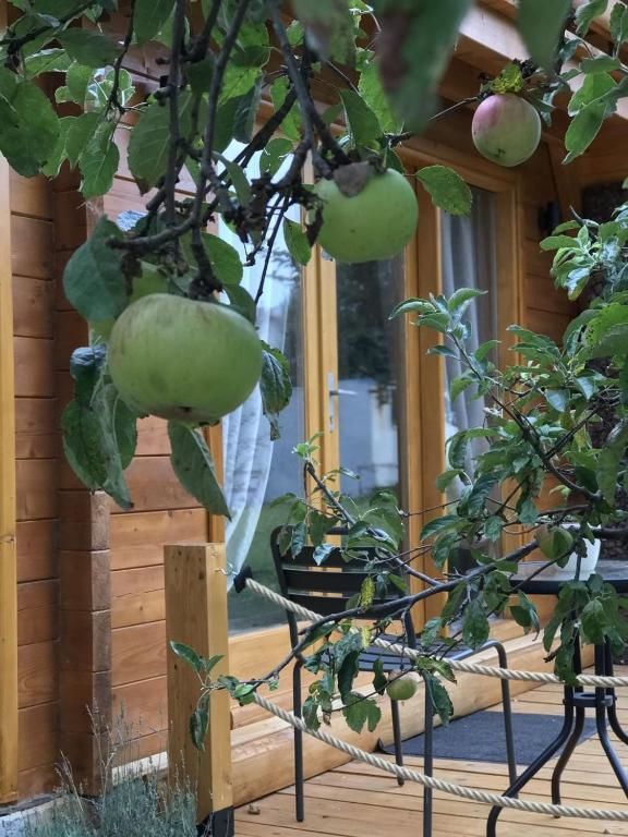 Дома для отпуска Apple House Цетине