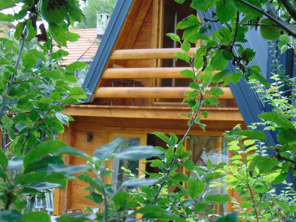Дома для отпуска Apple House Цетине