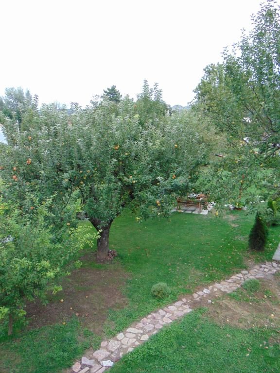 Дома для отпуска Apple House Цетине
