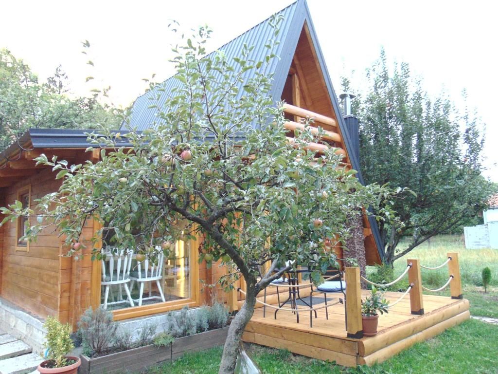 Дома для отпуска Apple House Цетине