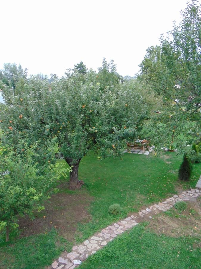 Дома для отпуска Apple House Цетине